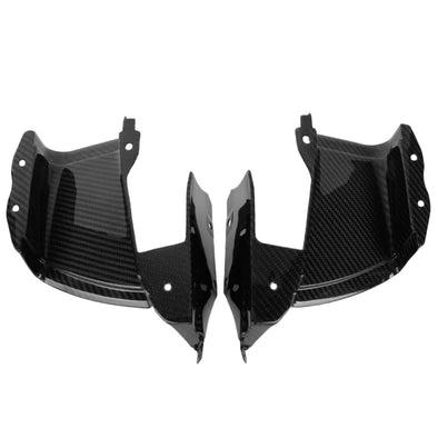 BMW S1000RR Carbon Ram Air Canal, 2019 - (pair)