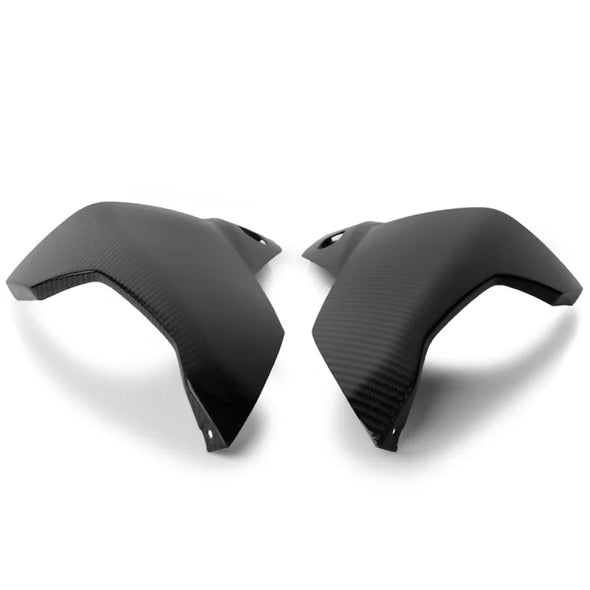 BMW S1000RR Carbon Side Fairing, 2019 - (Pair) 